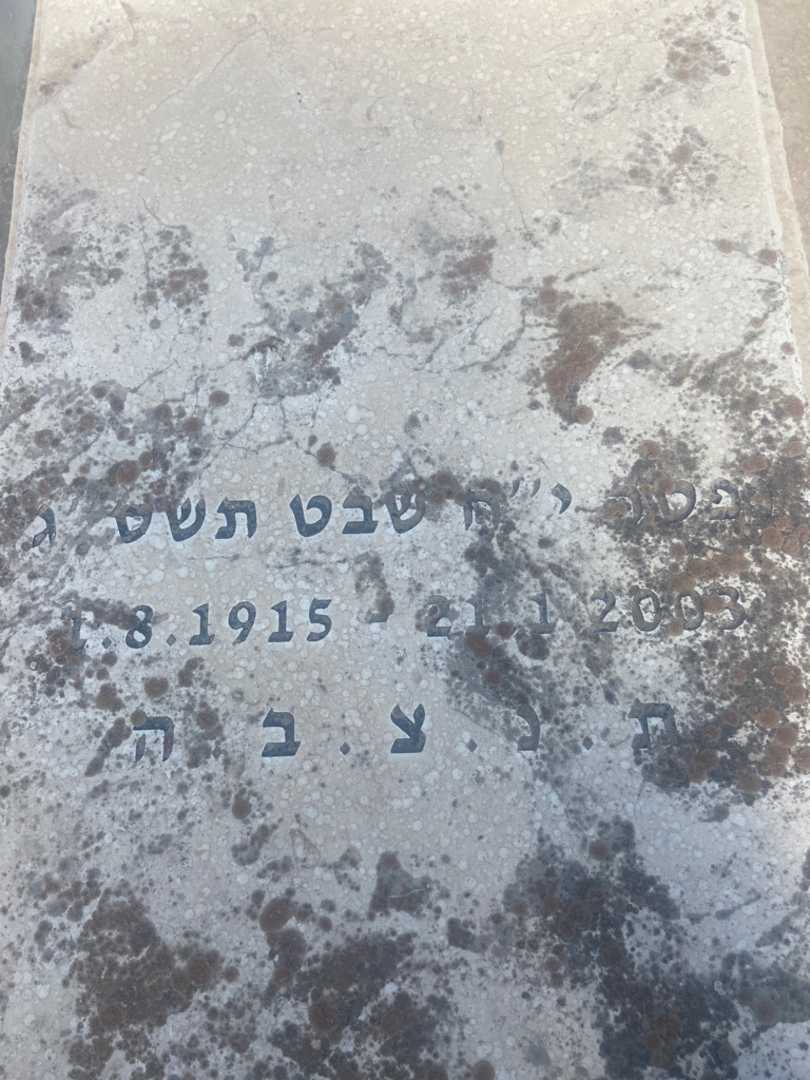 קברו של בן ציון קוסטי. תמונה 2