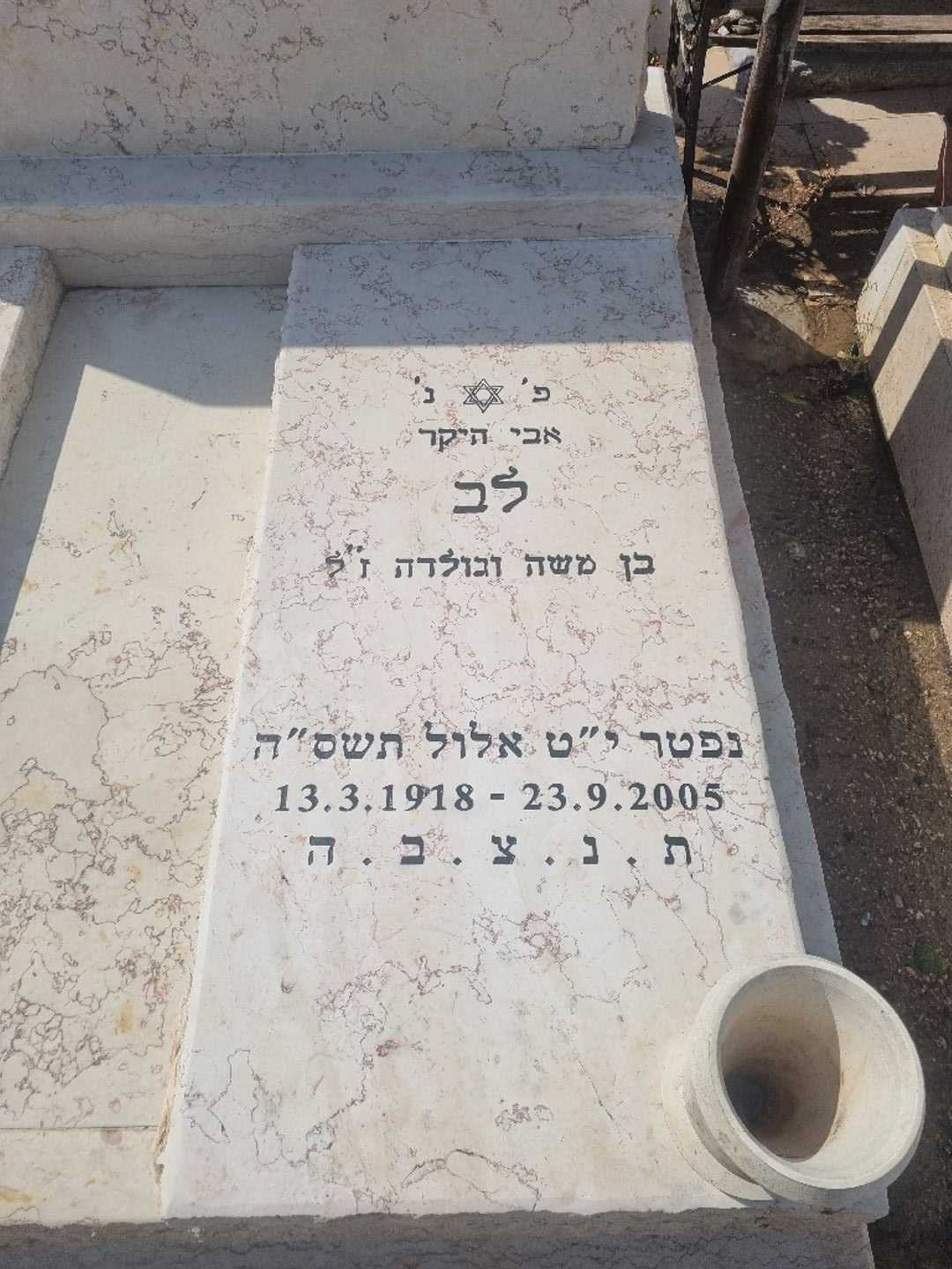 קברו של לב סרולב. תמונה 3