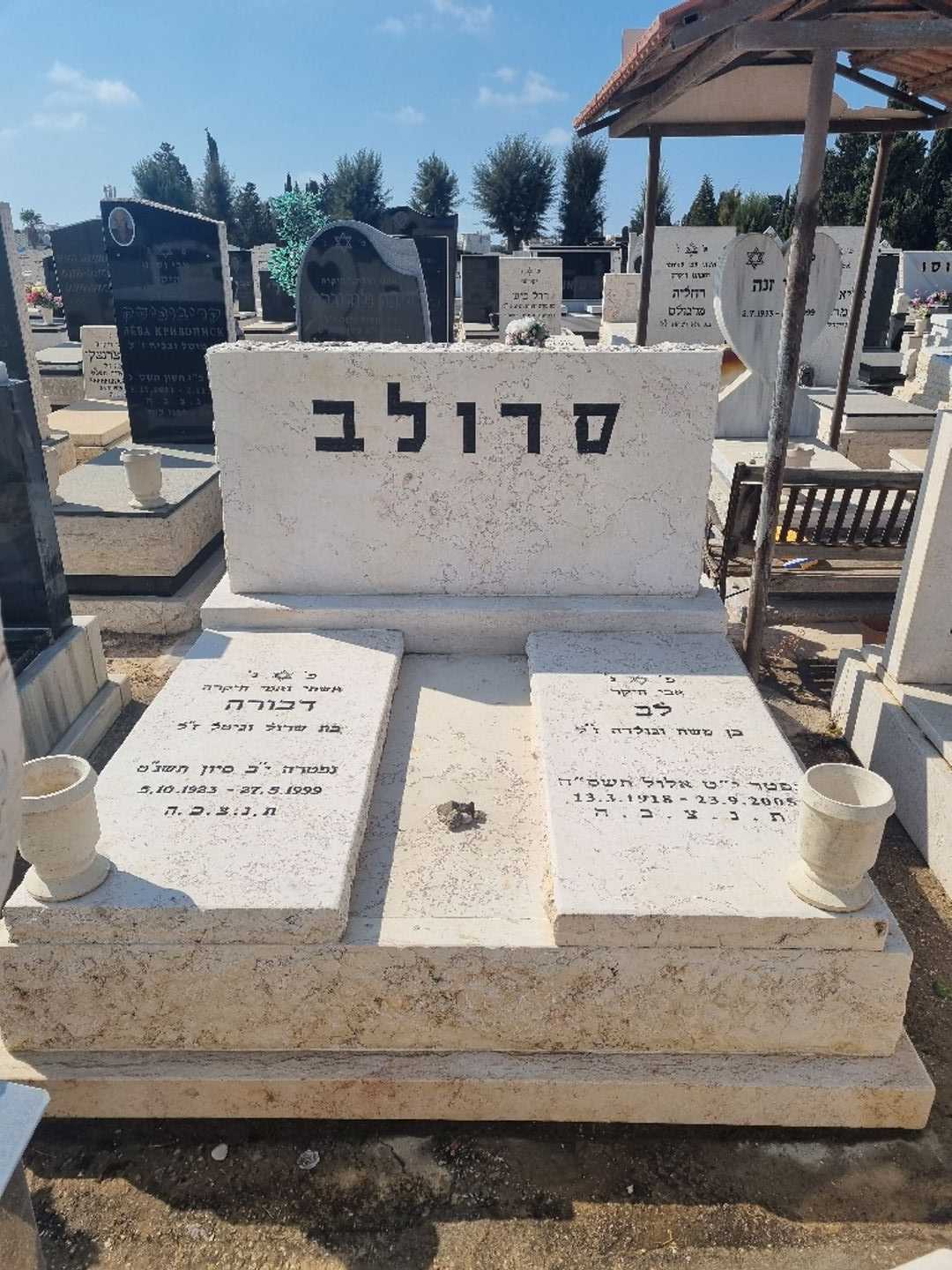 קברו של לב סרולב. תמונה 4