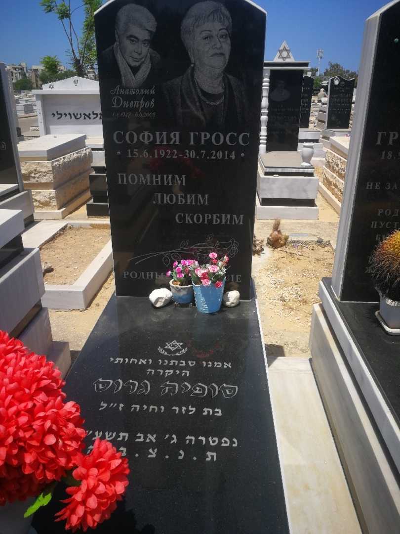 קברו של סופיה גרוס. תמונה 1