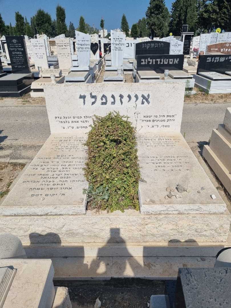 קברו של משה אייזנפלד. תמונה 1