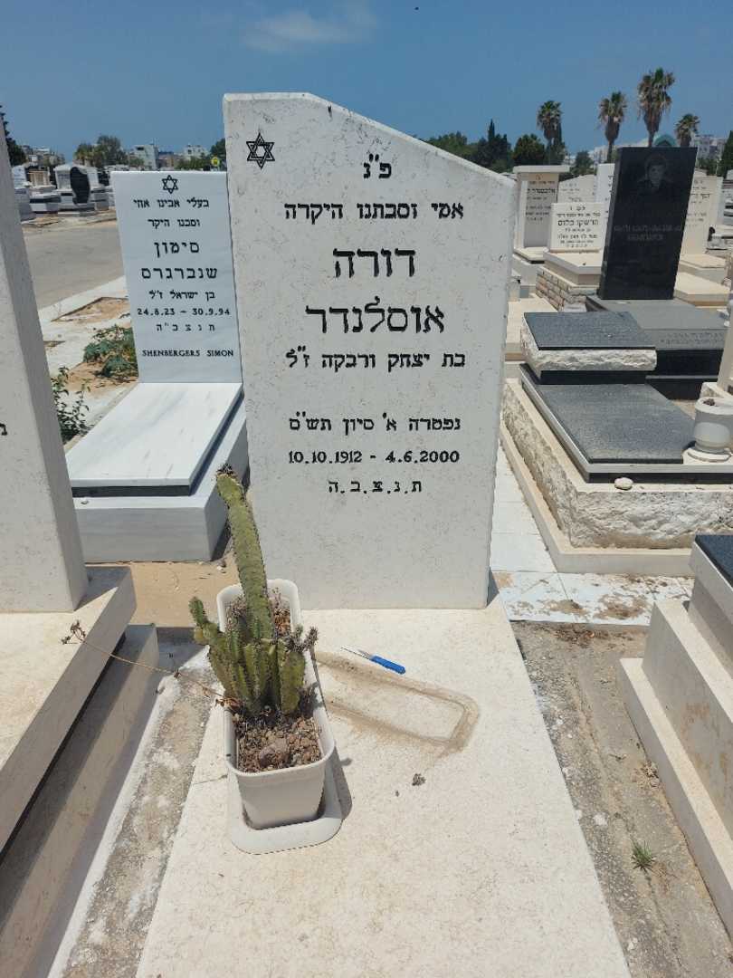 קברו של דורה אוסלנדר. תמונה 1