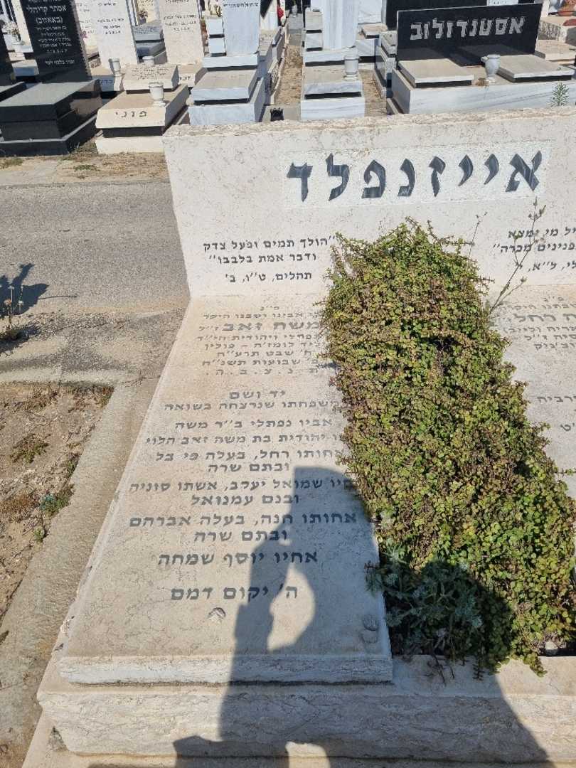 קברו של משה אייזנפלד. תמונה 2