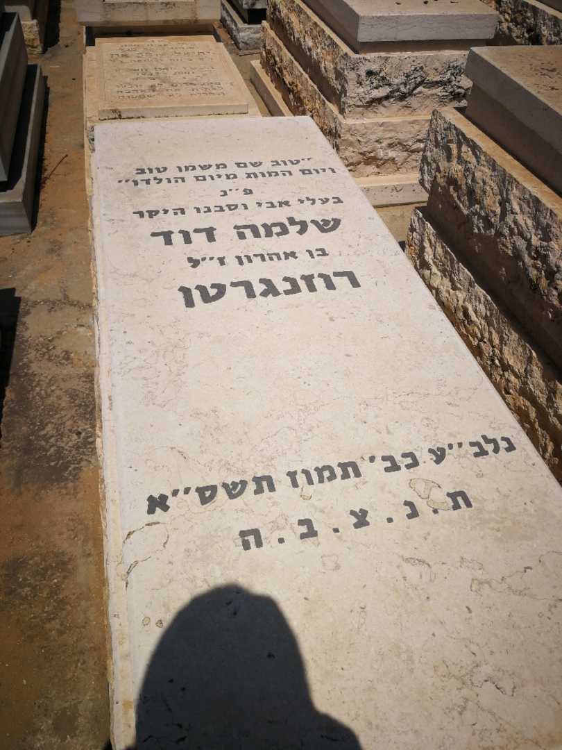 קברו של שלמה רוזנגרטן. תמונה 1