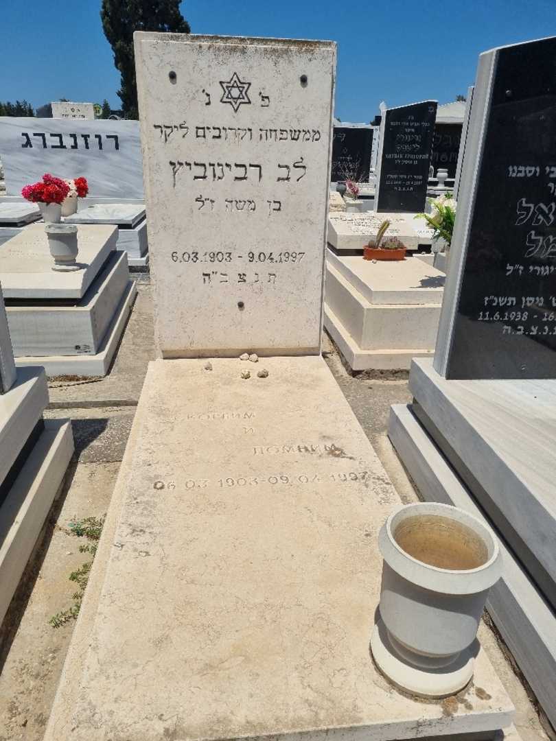 קברו של לב רבינוביץ. תמונה 1