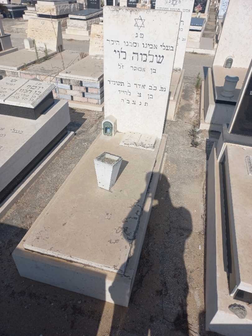 קברו של שלמה לוי. תמונה 1