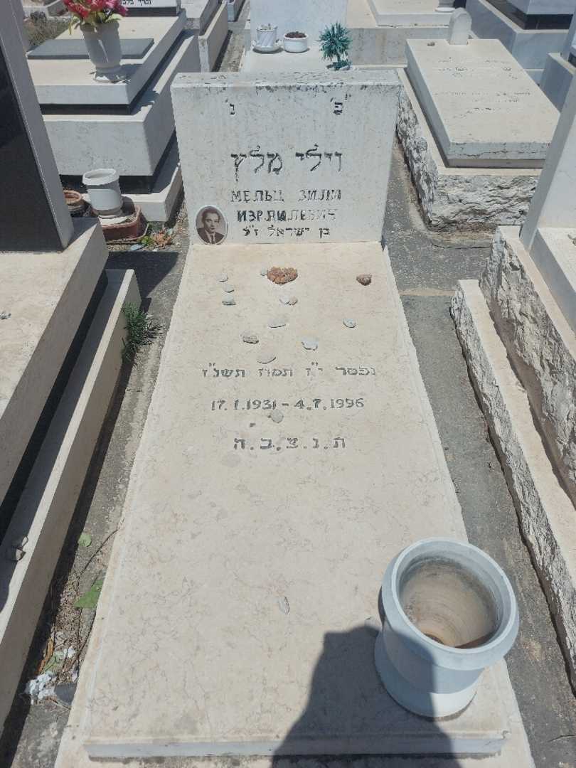 קברו של וילי מלץ. תמונה 1