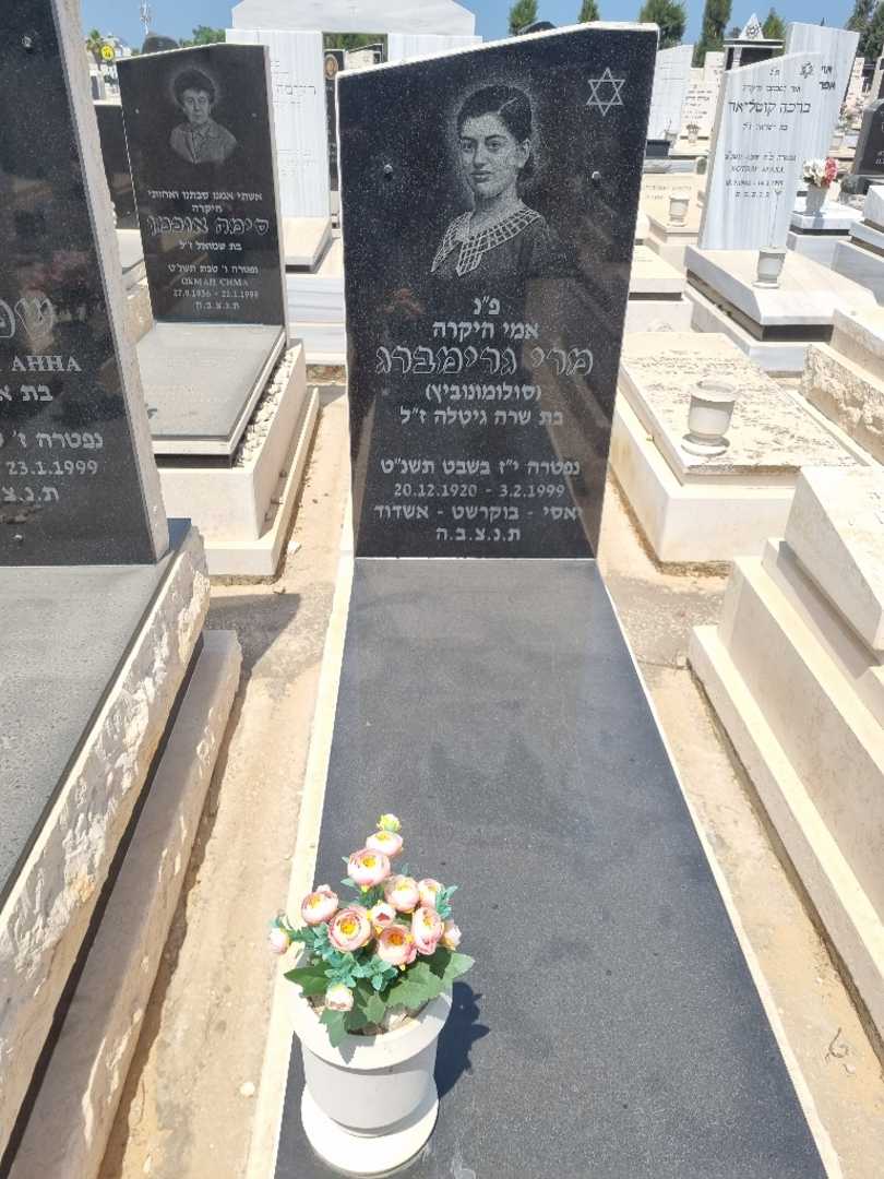 קברו של מרי "סולומונוביץ" גרומברג. תמונה 1