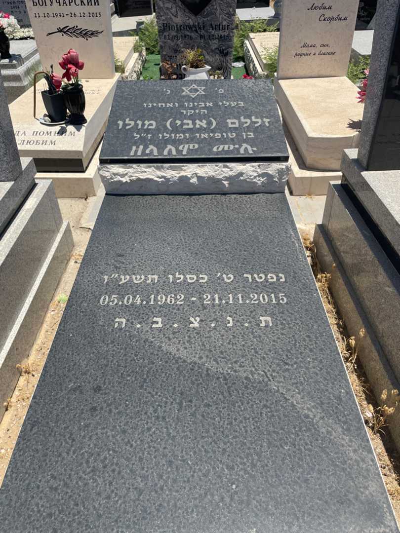 קברו של אבי "אבי" מולו. תמונה 1