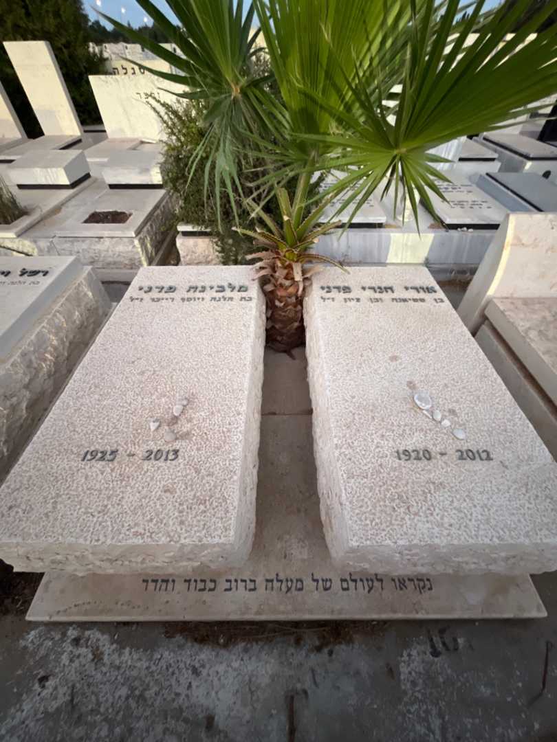 קברו של אורי הנרי פדני. תמונה 1