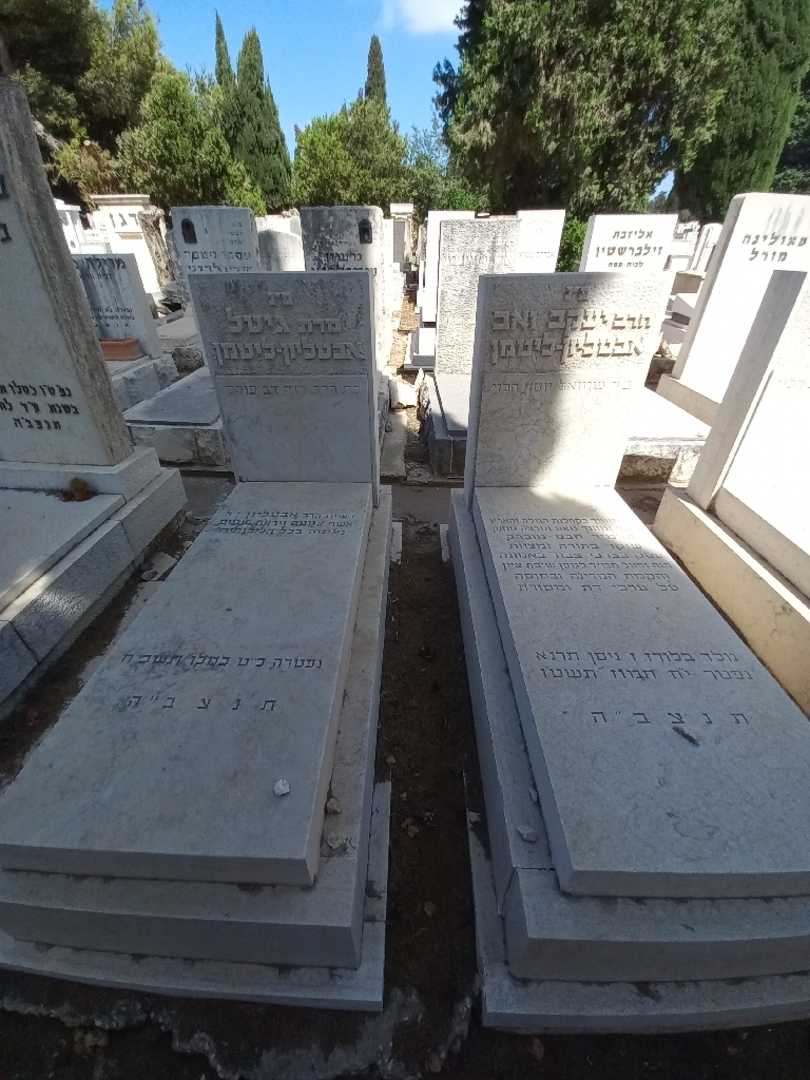 קברו של יעקב זאב אבטליון - ליטמן. תמונה 2