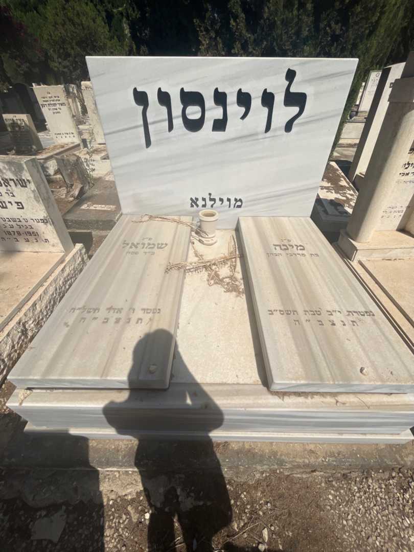 קברו של מינה לוינסון הכהן. תמונה 1