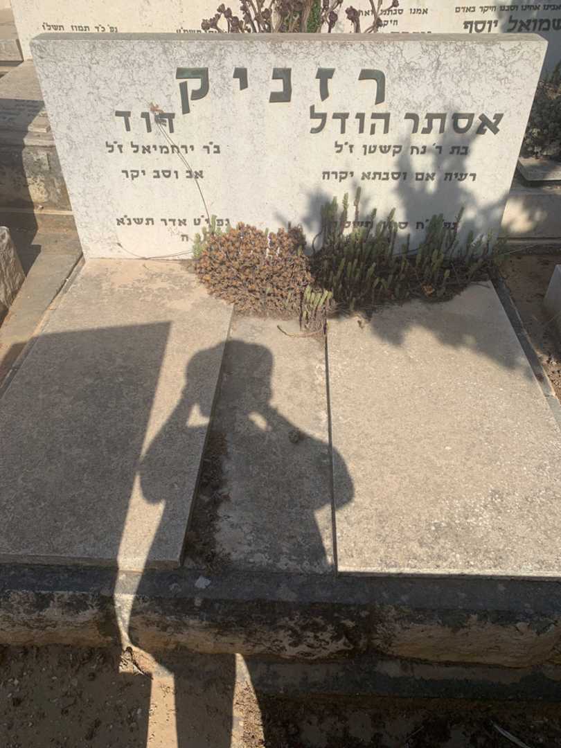 קברו של דוד רזניק. תמונה 2