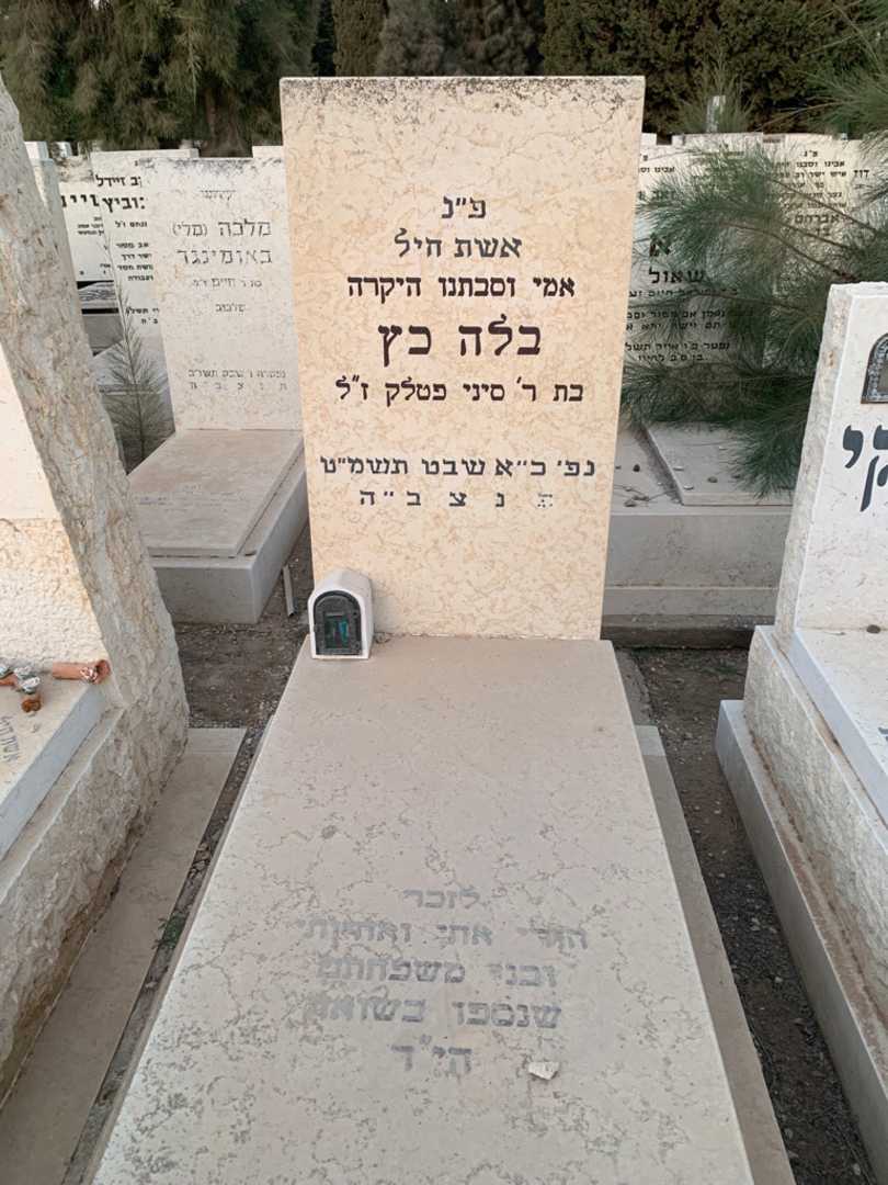 קברו של בלה כץ