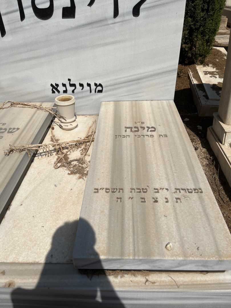 קברו של מינה לוינסון הכהן. תמונה 2