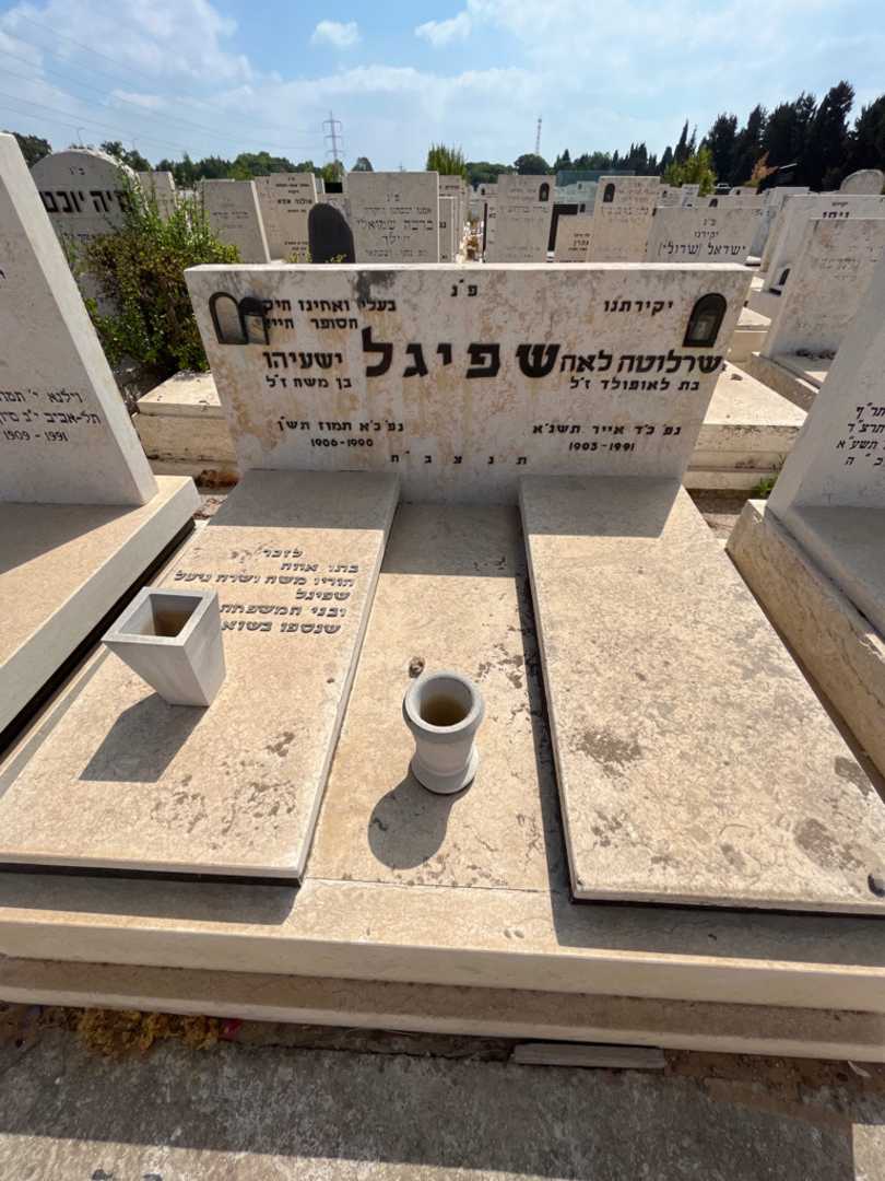 קברו של משה שפיגל. תמונה 1