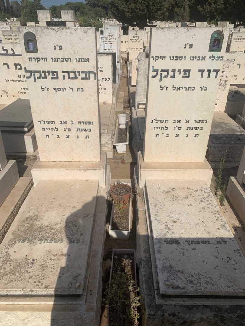 קברו של דוד פינקל. תמונה 2