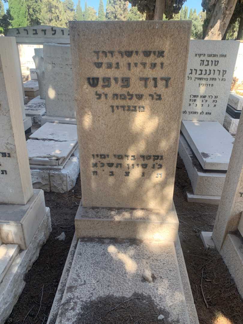 קברו של דוד פיפש