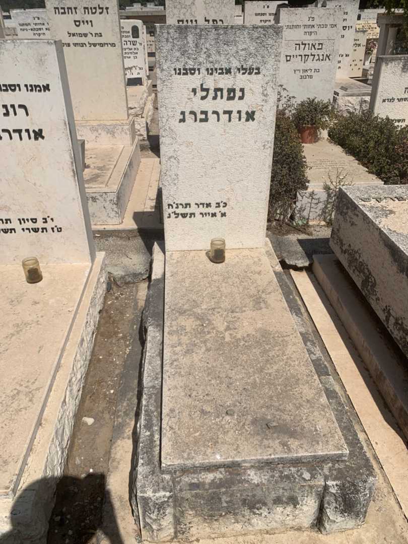 קברו של נפתלי אודרברג. תמונה 1