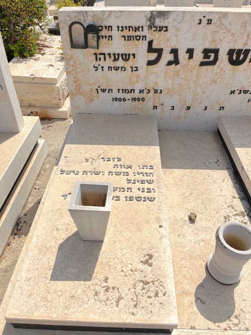 קברו של משה שפיגל. תמונה 2