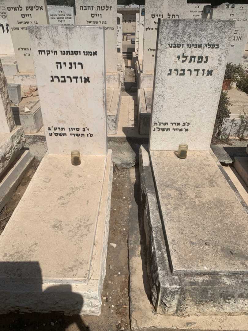 קברו של נפתלי אודרברג. תמונה 2