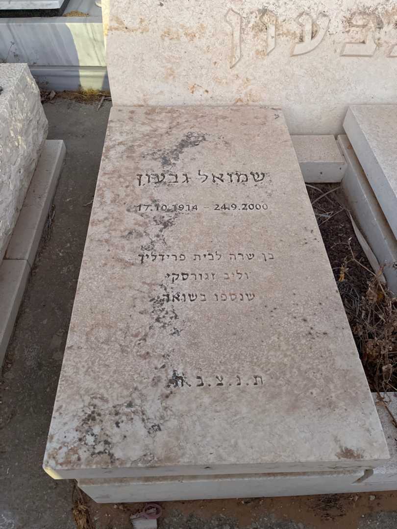 קברו של שרה פרידליך. תמונה 1