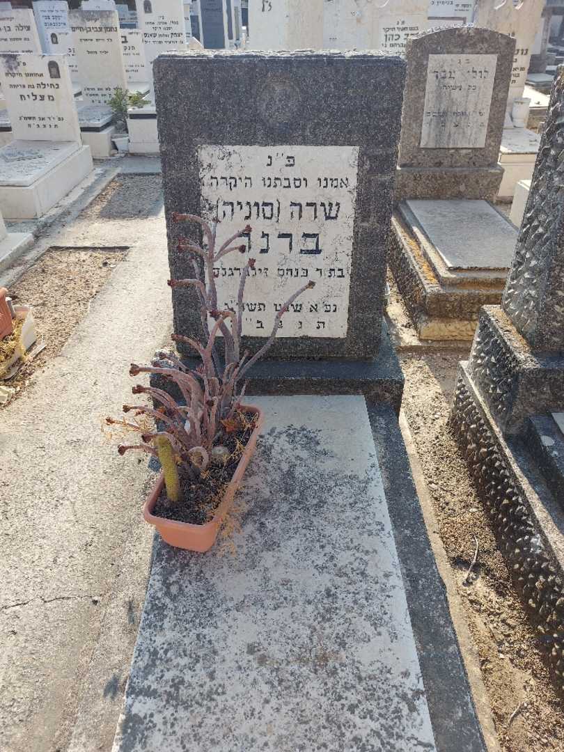 קברו של שרה "סוניה" ברנר