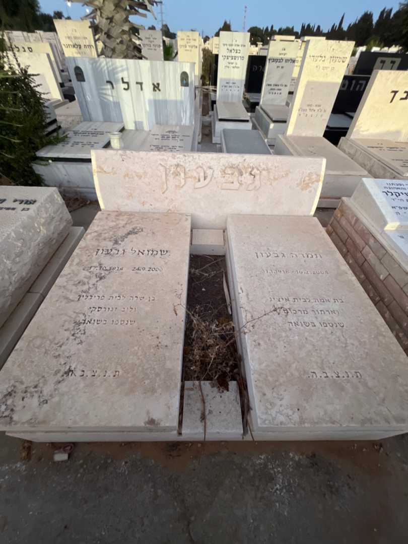 קברו של שרה פרידליך. תמונה 2