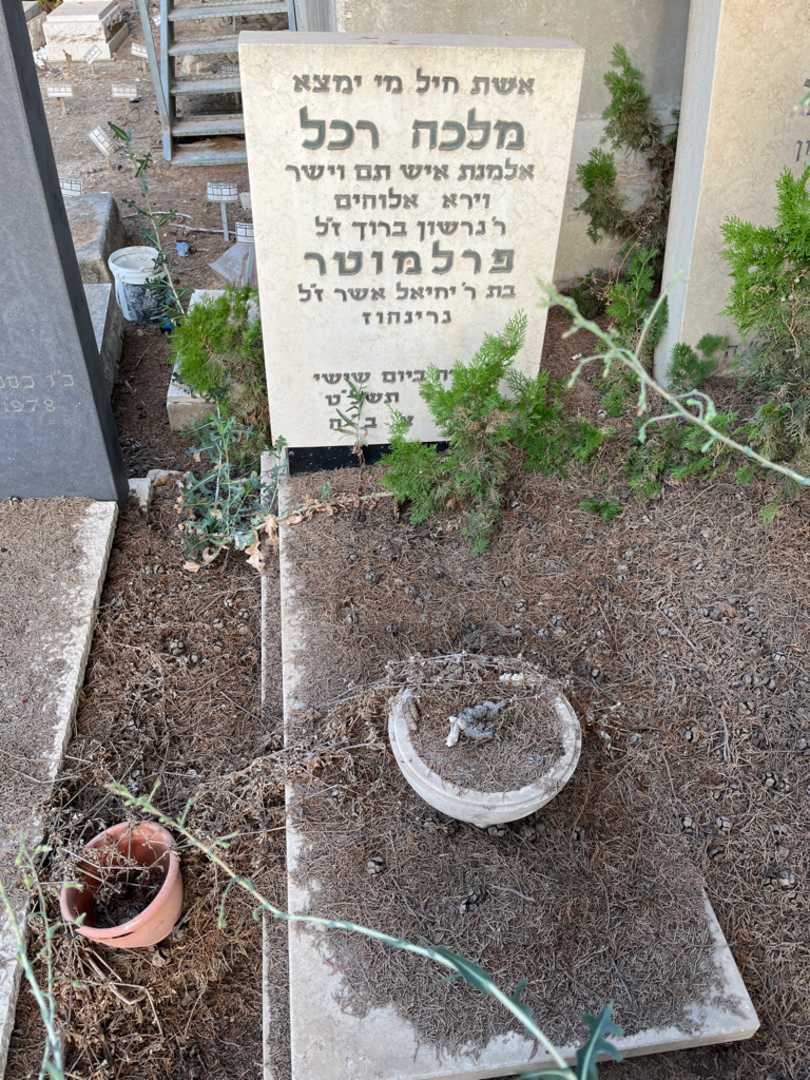 קברו של מלכה רכל פרלמוטר