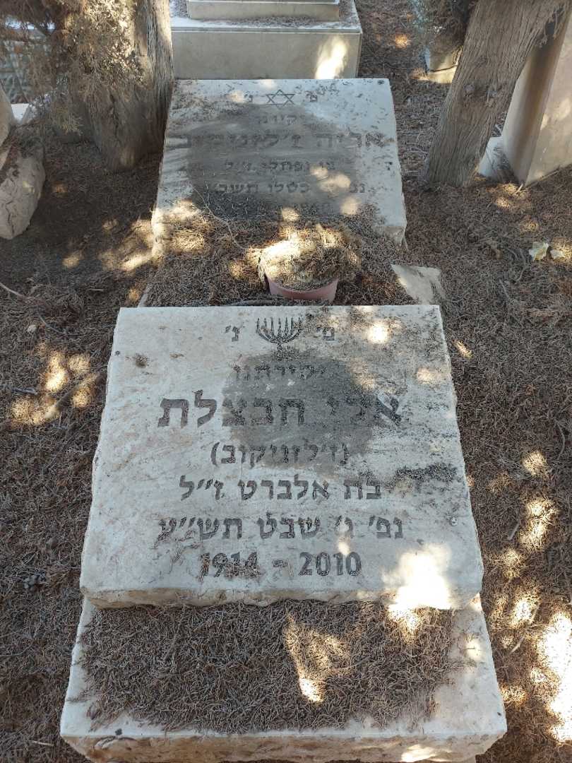 קברו של אלי חבצלת (ז'לזניקוב)