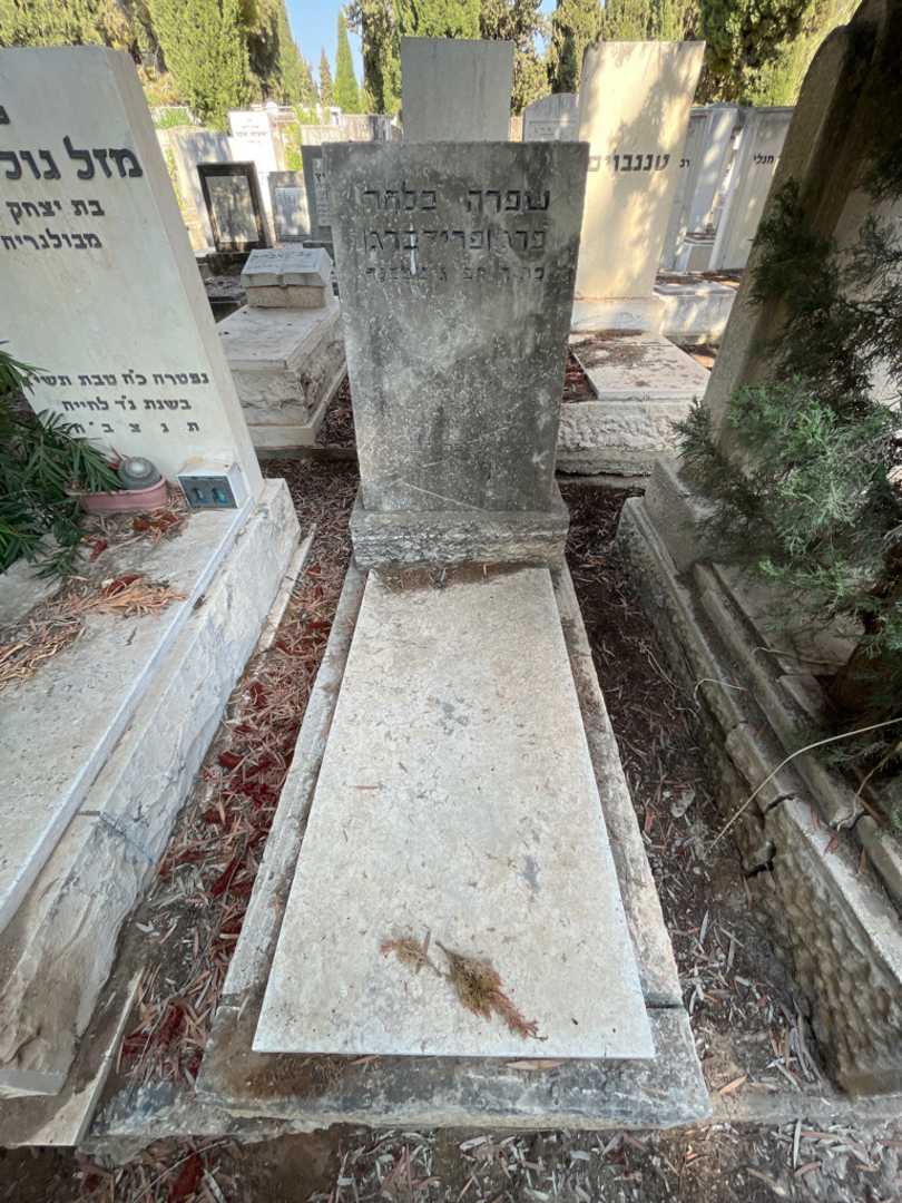 קברו של שפרה  בלחר פרייברג