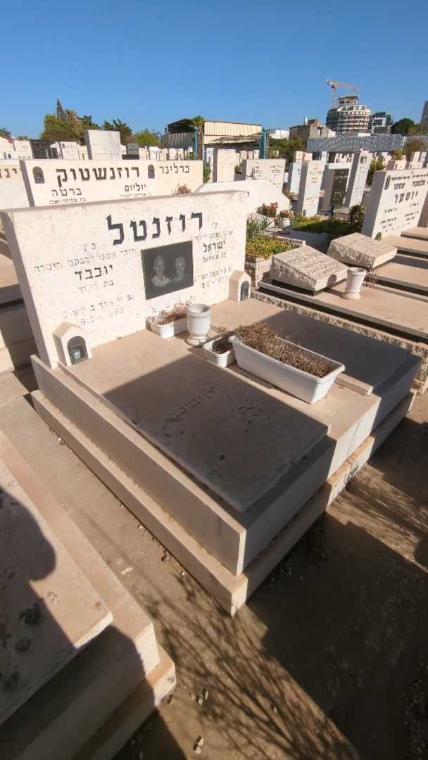 קברו של ישראל רוזנטל. תמונה 2