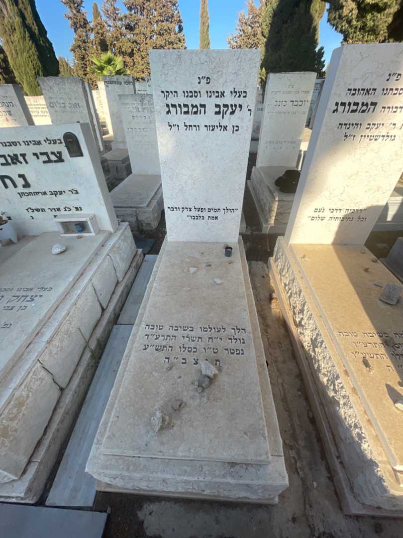 קברו של יעקב המבורג. תמונה 2