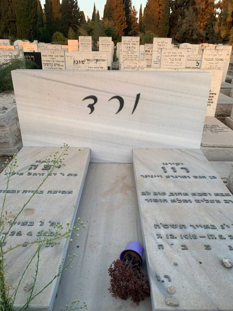קברו של רון ורד. תמונה 1