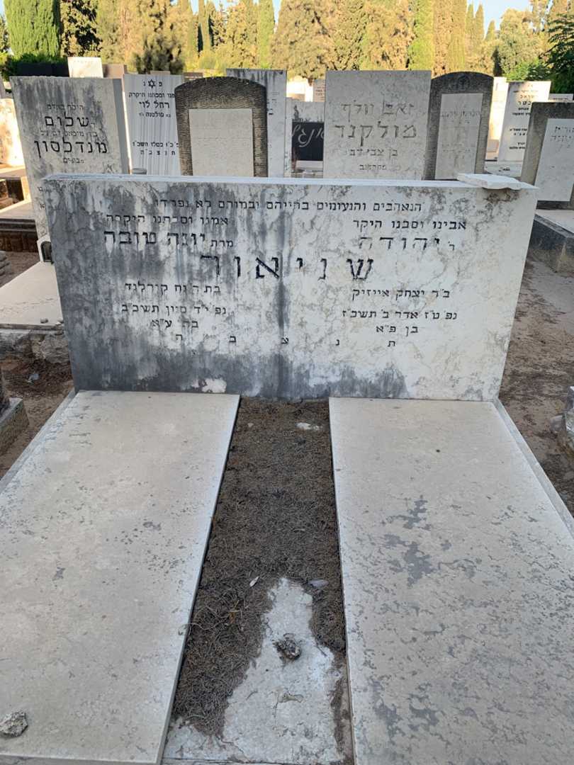 קברו של יונה טובה שניאור. תמונה 1