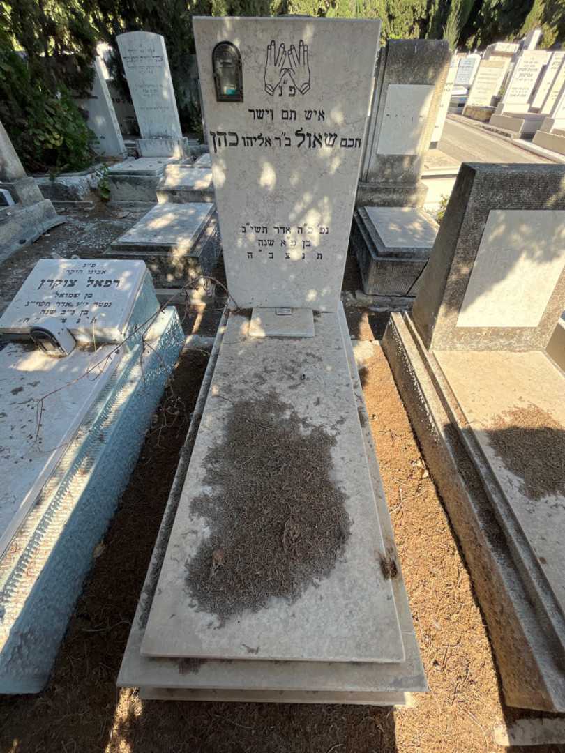 קברו של שאול כהן