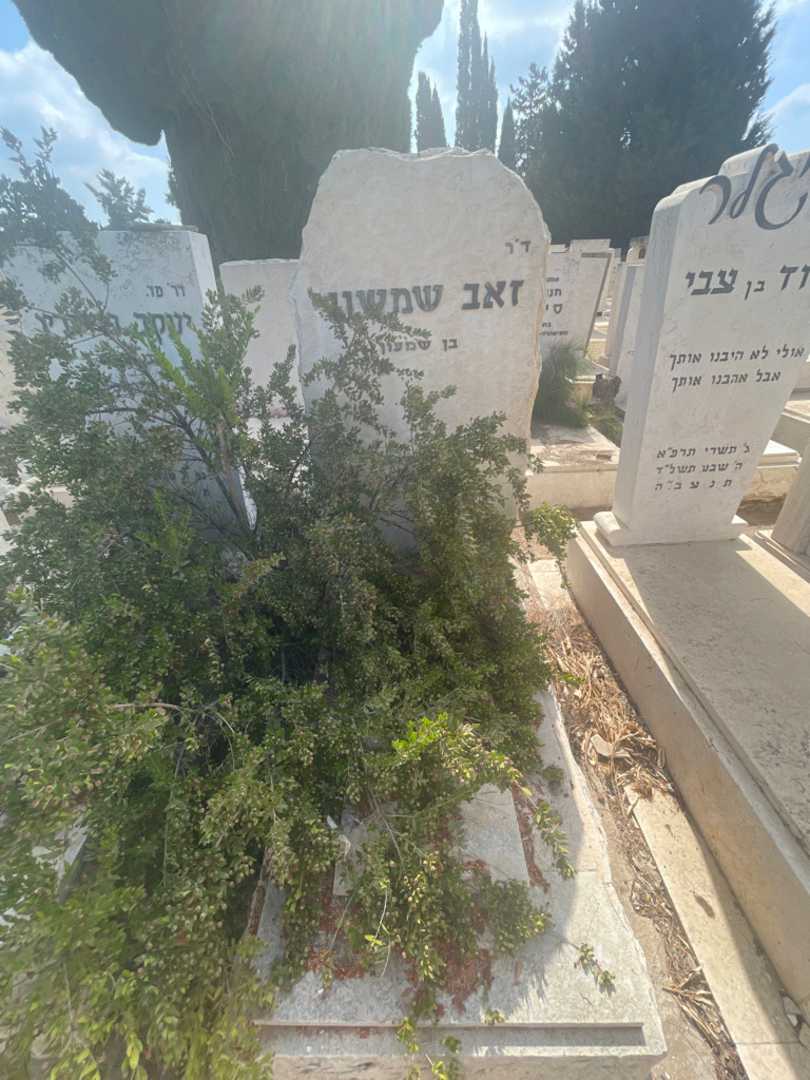 קברו של Doctor זאב שמשוני. תמונה 1