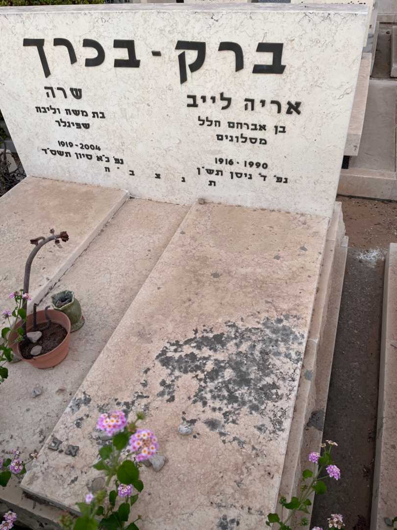 קברו של אריה לייב ברק -בכרך. תמונה 1