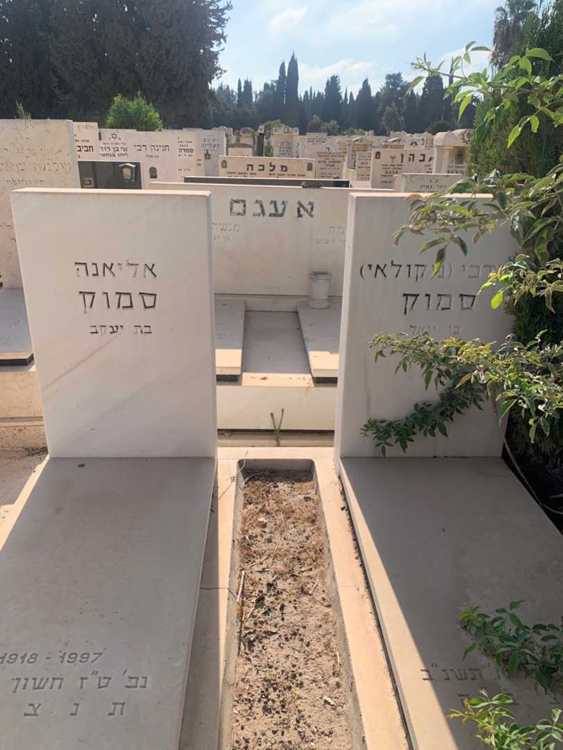 קברו של אליאנה סמוק. תמונה 1