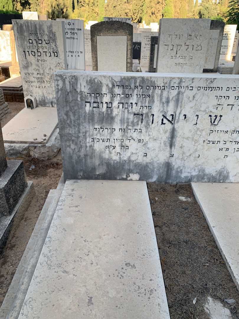 קברו של יונה טובה שניאור. תמונה 2
