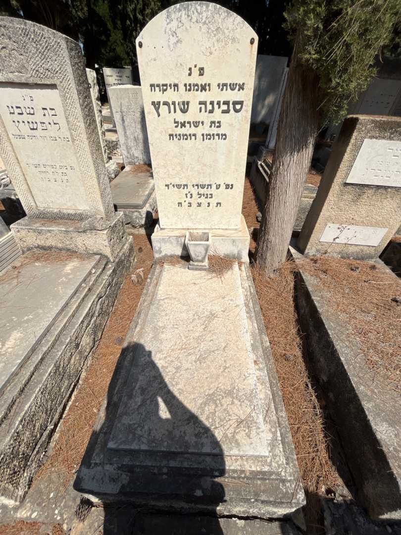 קברו של סבינה שורץ