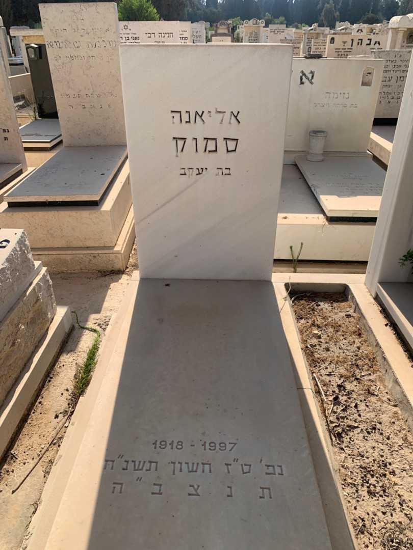 קברו של אליאנה סמוק. תמונה 2
