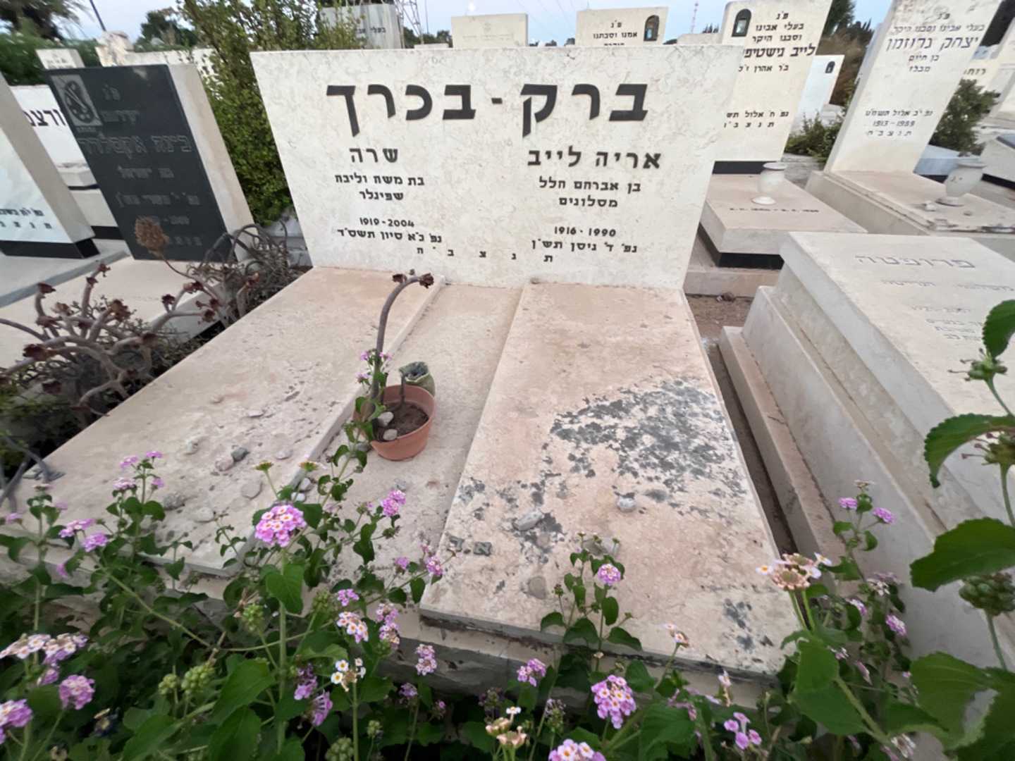 קברו של אריה לייב ברק -בכרך. תמונה 2