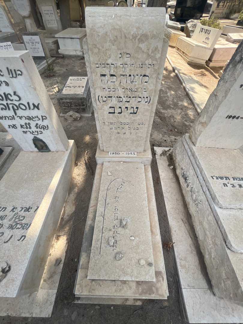 קברו של משהלה "גולדשמידט" עינב