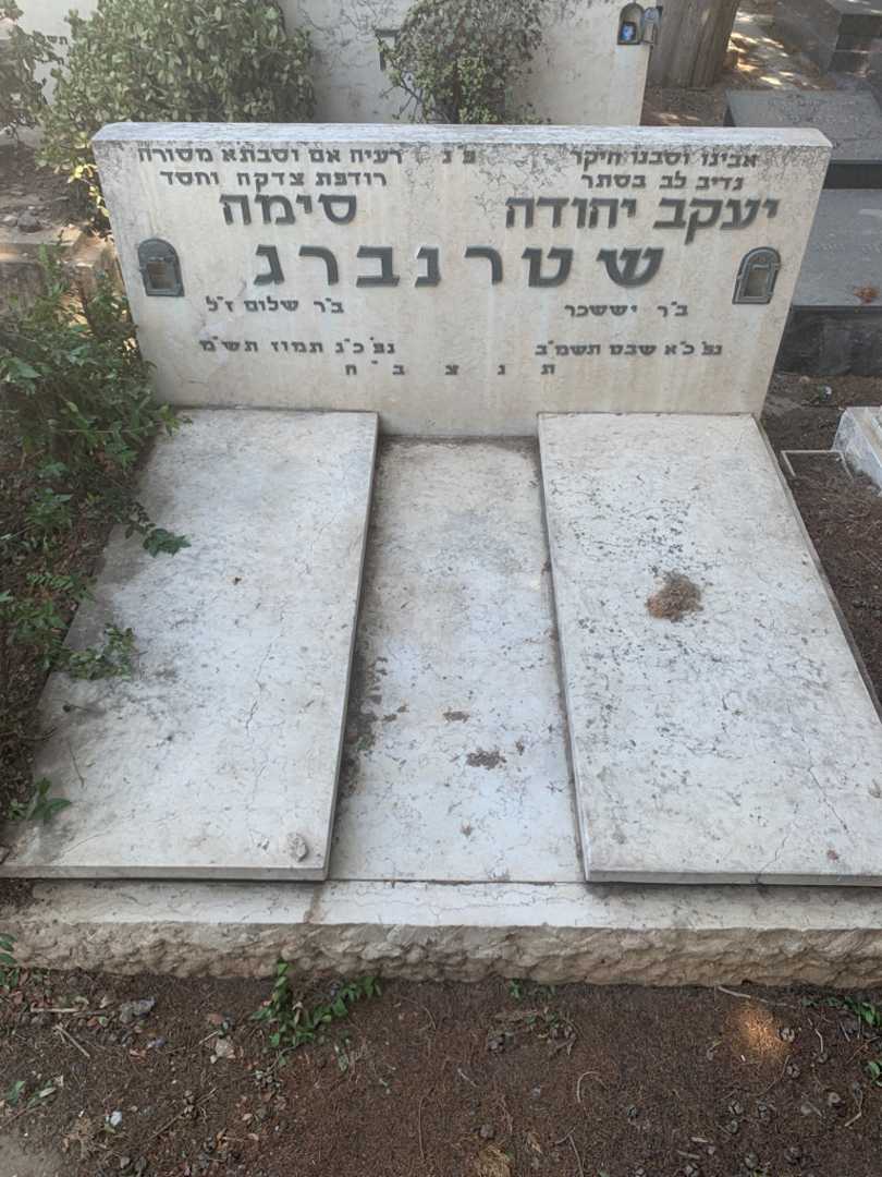 קברו של סימה שטרנברג. תמונה 2