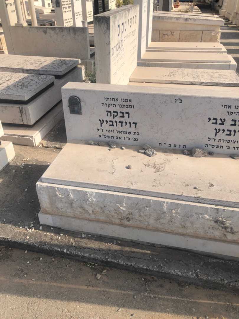 קברו של יום טוב צבי דוידוביץ. תמונה 2