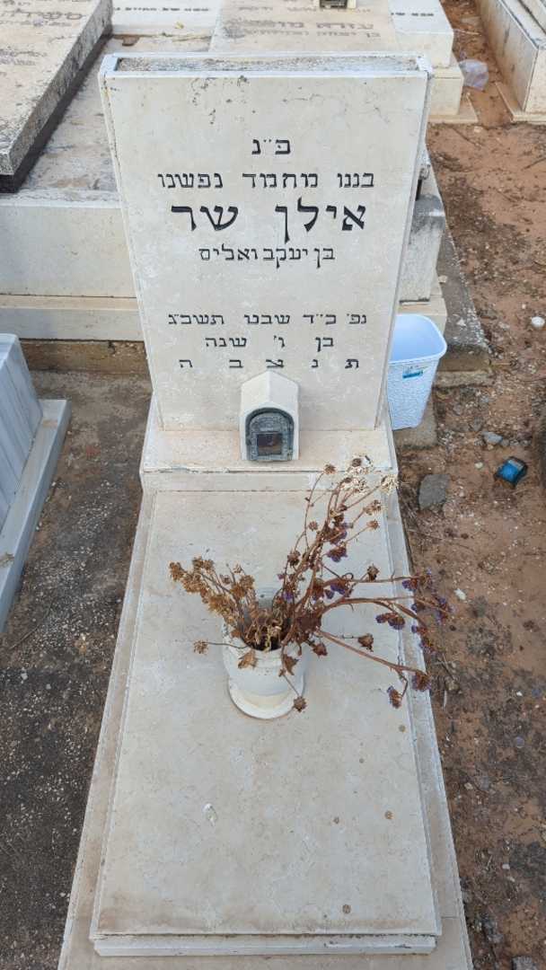 קברו של אילן שר