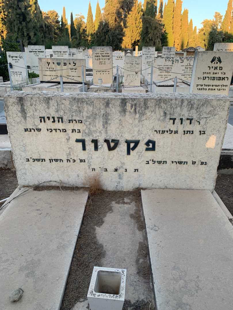 קברו של דוד פקטור. תמונה 1