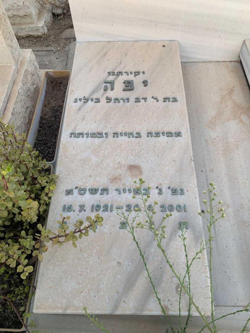 קברו של יפה ורד. תמונה 2