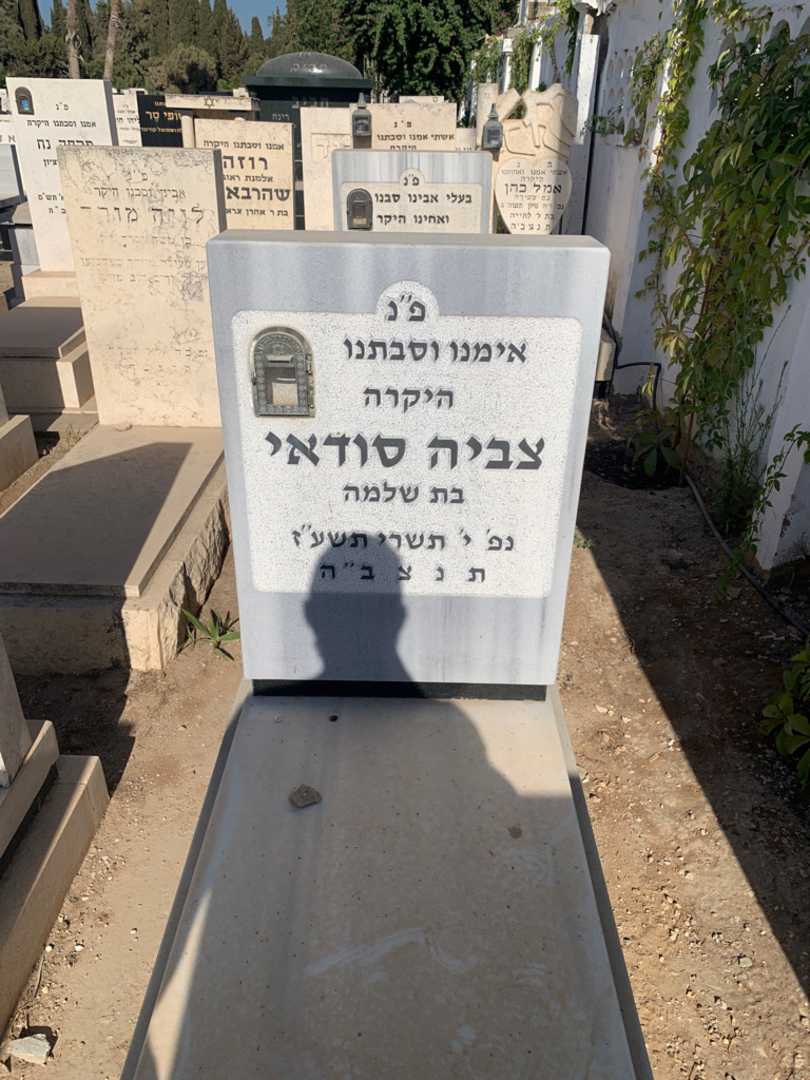 קברו של צביה סודאי. תמונה 1